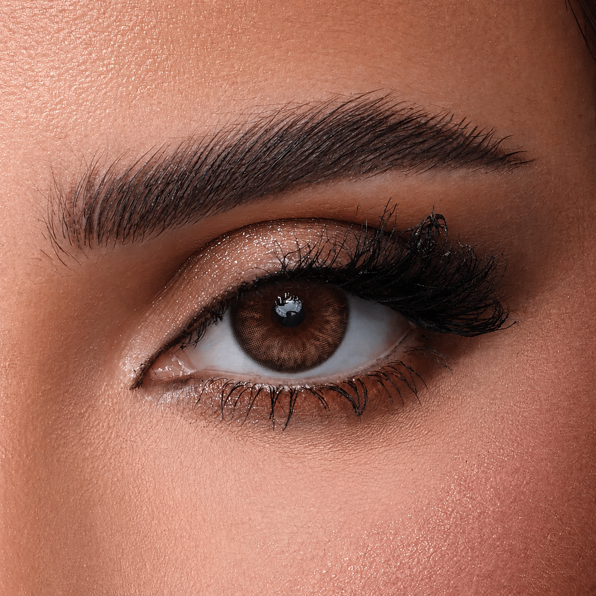 Mini Brown lenses | عدسات ميني براون