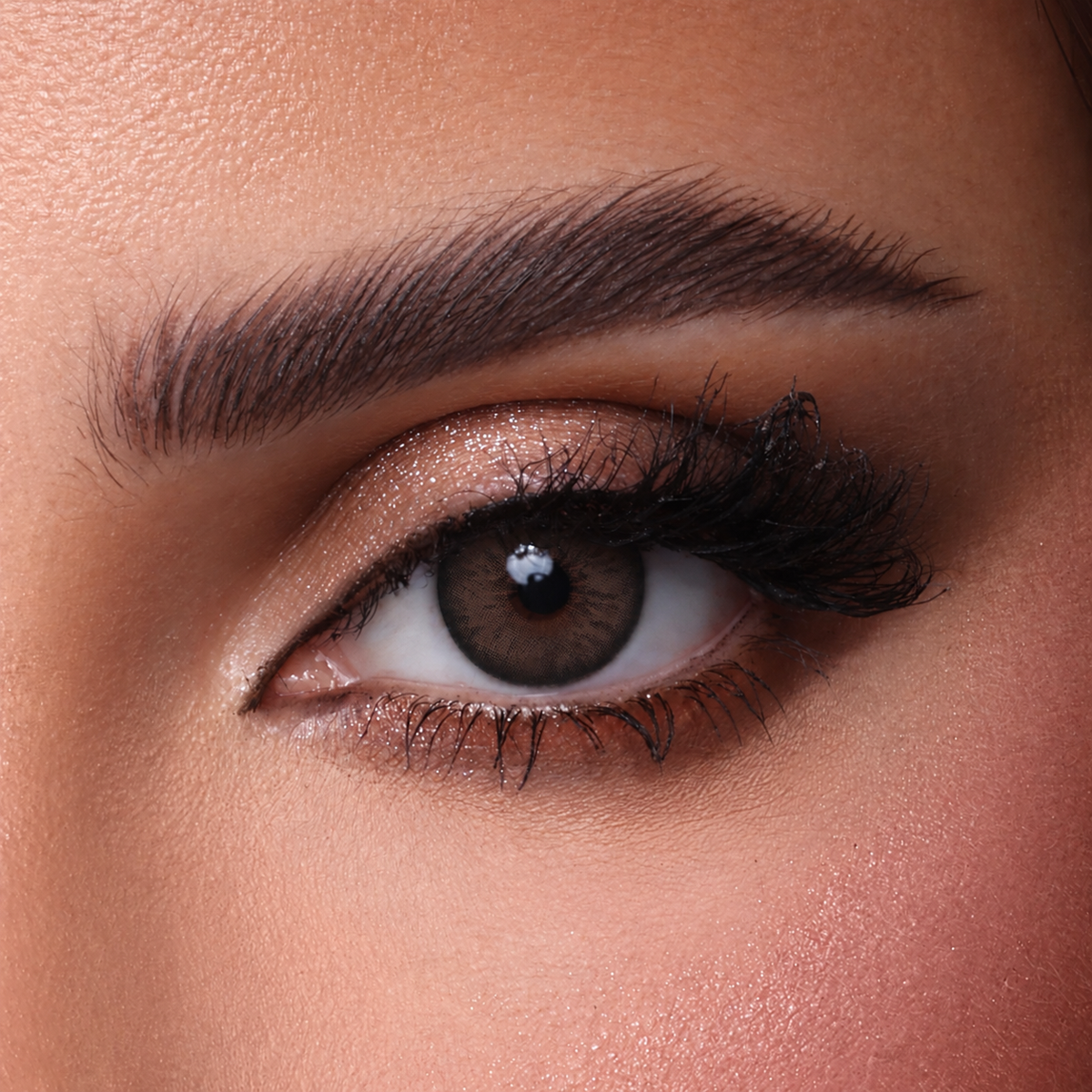 Dark chocolate lenses | عدسات دارك جوكليت