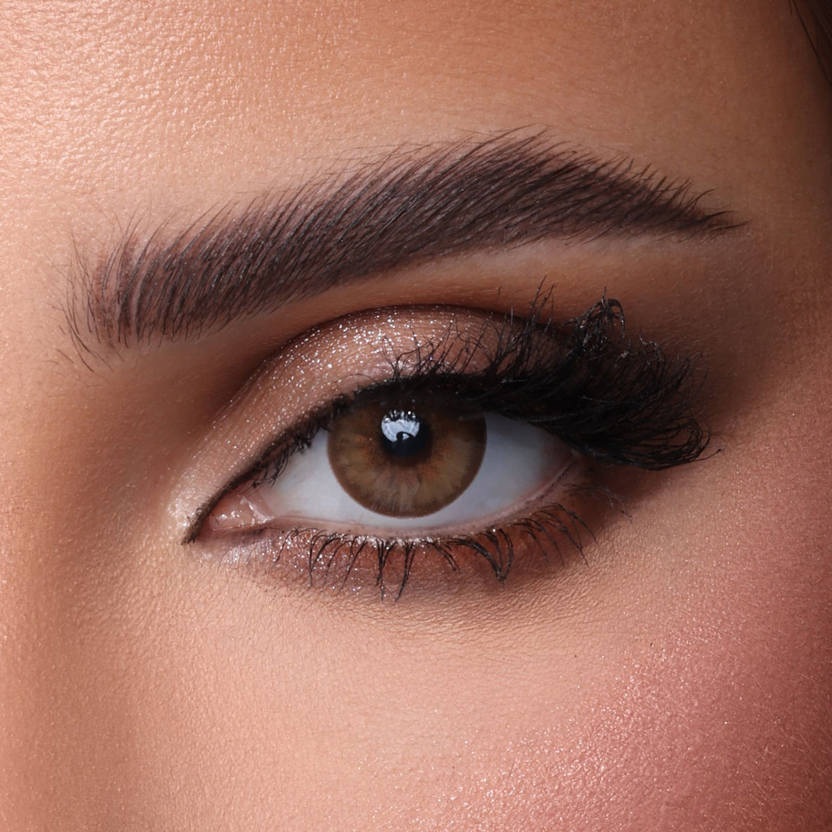 Mocha lenses | عدسات موكا