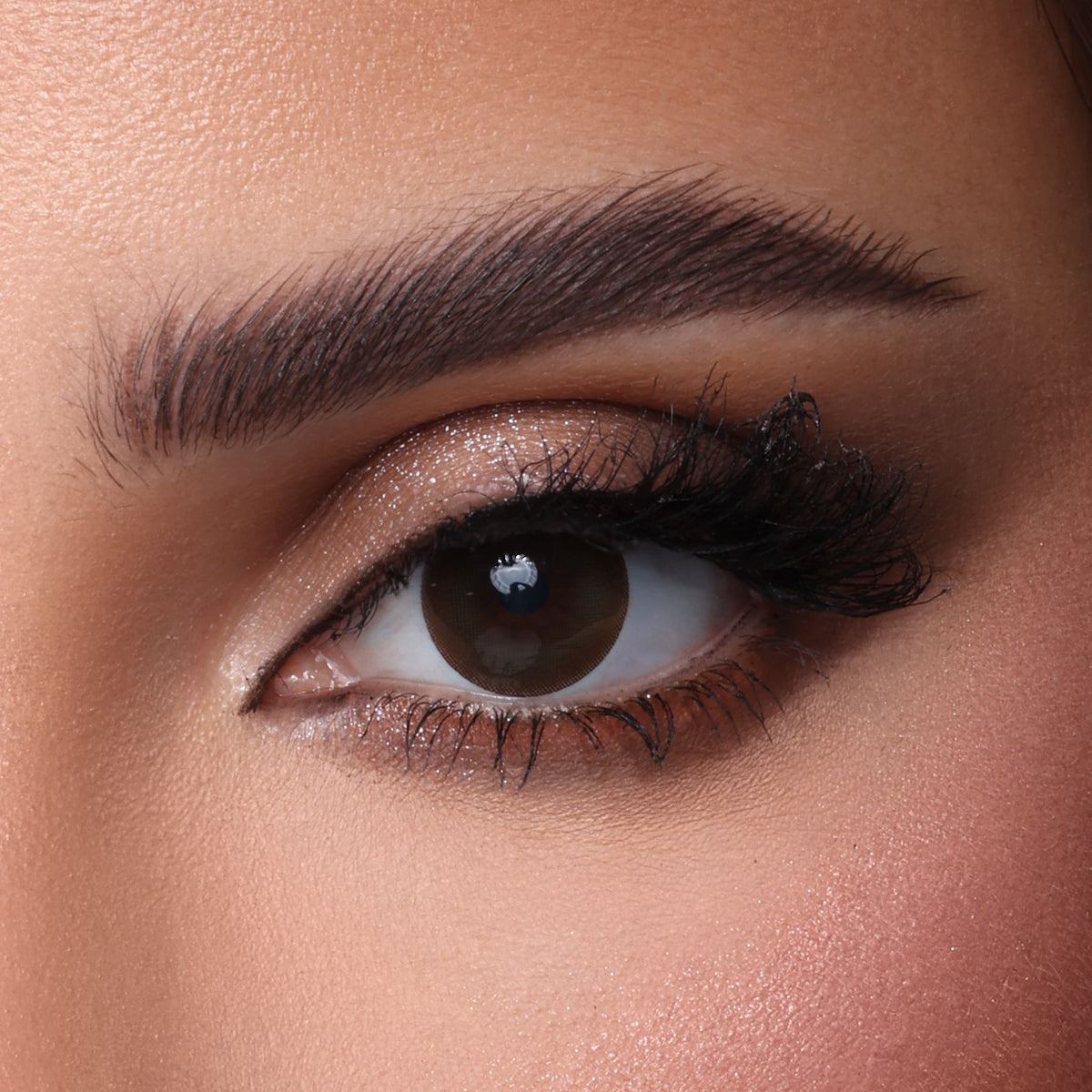 Muse Brown lenses | عدسات موس براون